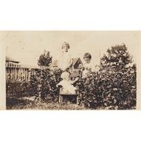 Virginia Elizabeth Hamilton Moran