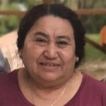 Mrs. Evelia Rodriguez De Hernandez