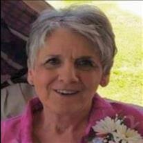 Diane Sue Koehring