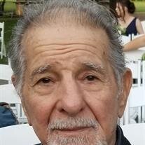 Albert F. Zalfini