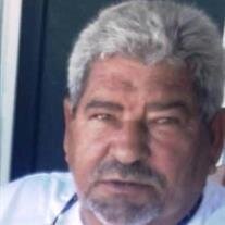 Kamil Radwan