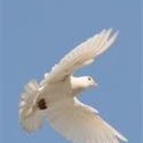 Mariann J. McCormick