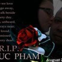 Phuc Dinh Pham