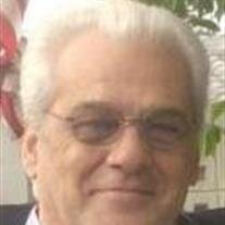 Salvatore F Guarino
