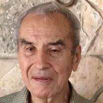 Roque M. Navarro