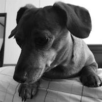 Ollie Marie Borden