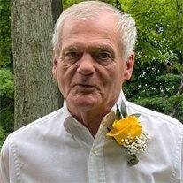 Ronald  Lee Avink