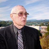 Ronald Lewis Frey Sr
