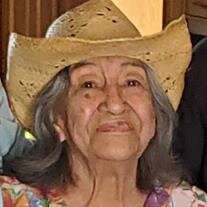 Paula G Narbaez