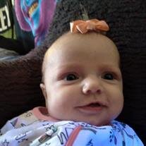 Sadie Alaine Westerfield
