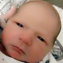 Infant Walker Scott James