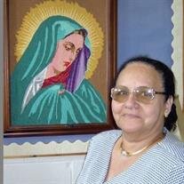 Narges Samy Michail