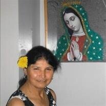 Dominga Valdez Saucedo