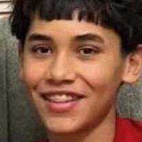 Javier Romar Gonzalez