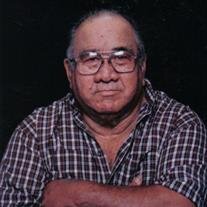 JOSE MEDINA MOLINA