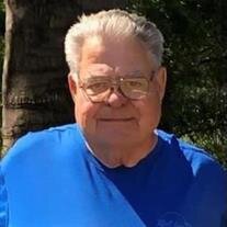 Walter W. Singer Jr