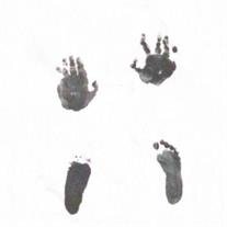 Emmanuel Earl Hampton Jr.