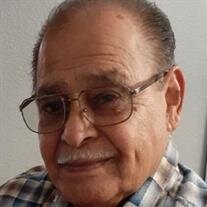 JOSE TORRES BELTRAN