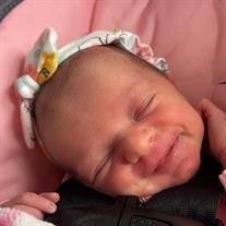 Oaklee Rain Wise