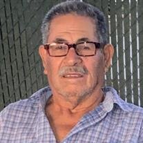 PEDRO HERRERA GARCIA