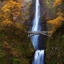 Linda Leslie Versteeg