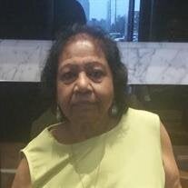 Patricia Mary Bird