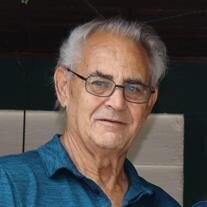 Dennis E. Carlson