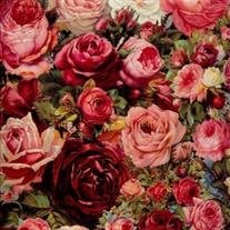 Sue Helen Holifield