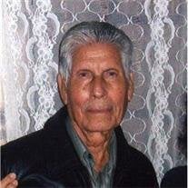 Martin Vera
