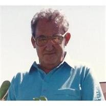 Nemo Pertusi