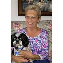 Patricia P. Hazelton