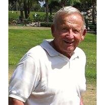 Dennis M. David