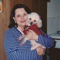 Abby Case