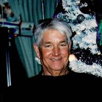 Thom W. Kramer