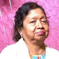 Maria Remedios Cadena Ramirez