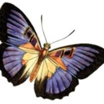 Sabra E. Croom