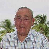 David Searl Lesourd
