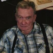Mr. Troy Tommie Lewis