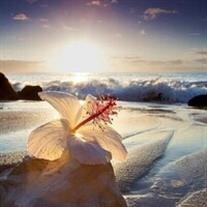 Eileen Marie Van Vliet