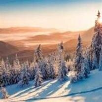 Harold Ack Shim Wong