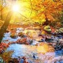 Anthony Stevens Garza