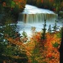 Arthur Sigfried Fishel