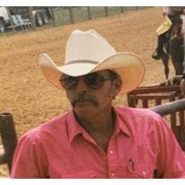 Randy D Lange