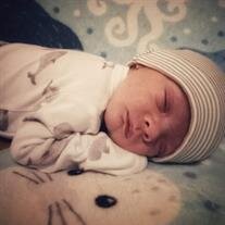 Judah Daniel Stapleton