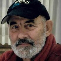 David A. Minnich