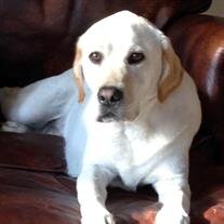 Barkley