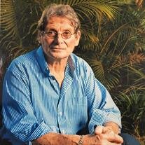 Peter Ernest Mitchell