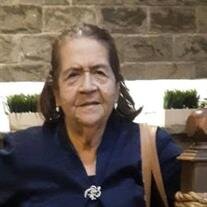 Lupe J. Ibarra