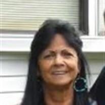 Virginia Ann Klingelhofer
