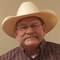 Mr. John Lachlan Morrison